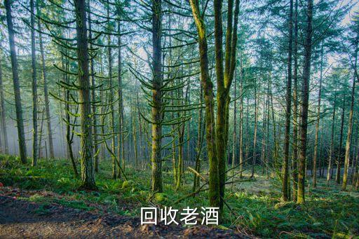 贵阳老酒回收电话聚城，贵阳地区哪有收茅台的