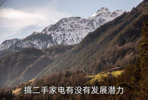 搞二手家电有没有发展潜力