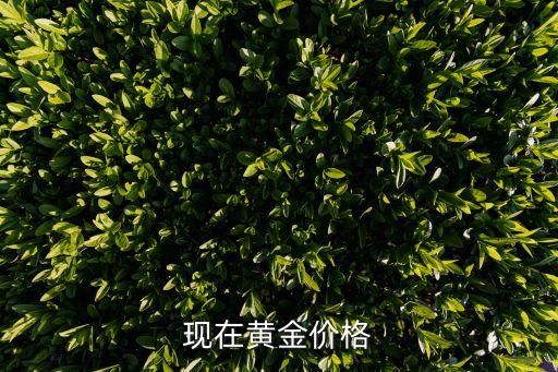 现在黄金价格
