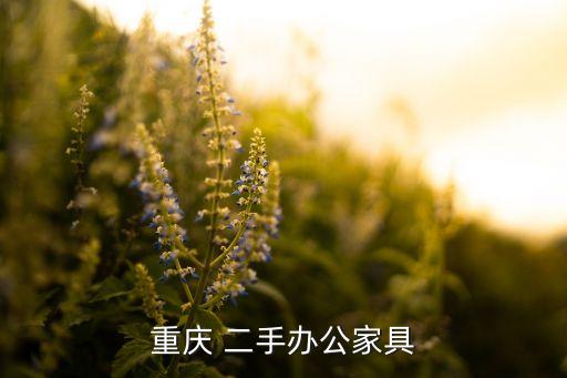 重庆 二手办公家具