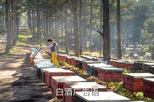 高价回收名酒广告，关于库存的陈年老酒广告词