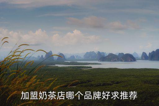加盟奶茶店哪个品牌好求推荐