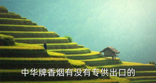 中华牌香烟有没有专供出口的