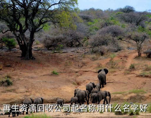 再生资源回收公司起名称用什么名字好