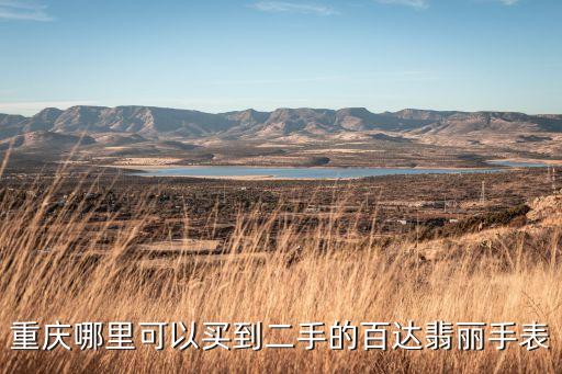 重庆哪里可以买到二手的百达翡丽手表