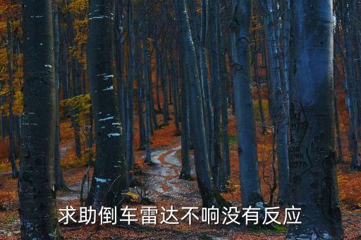求助倒车雷达不响没有反应
