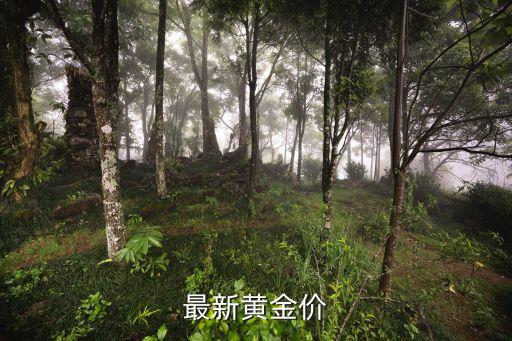 最新黄金价