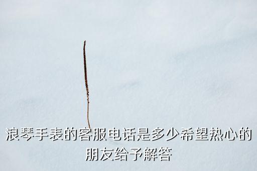 浪琴手表的客服电话是多少希望热心的朋友给予解答