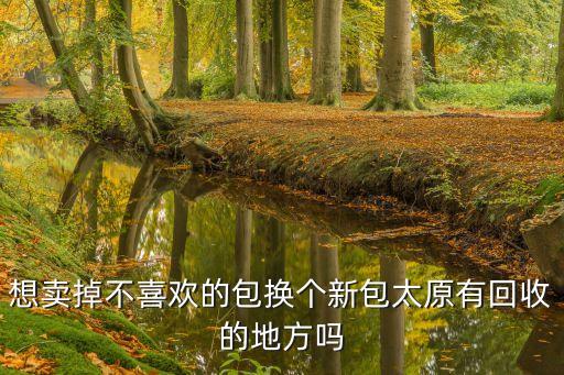 想卖掉不喜欢的包换个新包太原有回收的地方吗