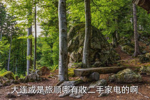 大连或是旅顺哪有收二手家电的啊