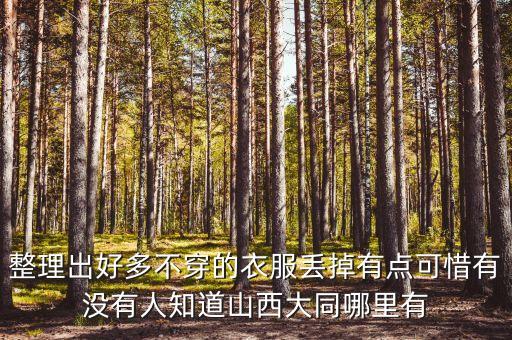 整理出好多不穿的衣服丢掉有点可惜有没有人知道山西大同哪里有
