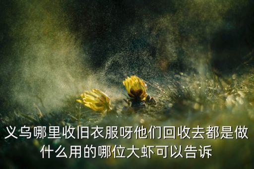 义乌哪里收旧衣服呀他们回收去都是做什么用的哪位大虾可以告诉