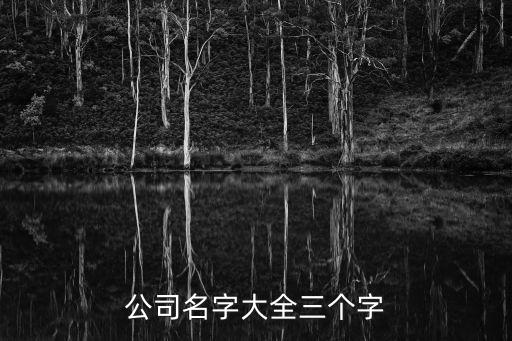 公司名字大全三个字