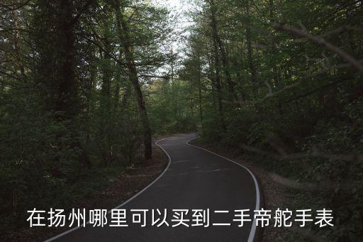 在扬州哪里可以买到二手帝舵手表