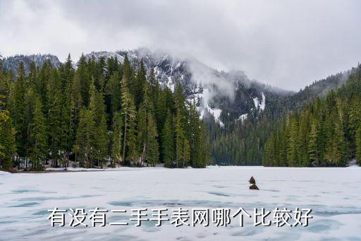 有没有二手手表网哪个比较好
