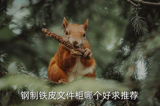 铁皮文件柜有哪些一线品牌，办公文件柜品牌排名前十的是哪些