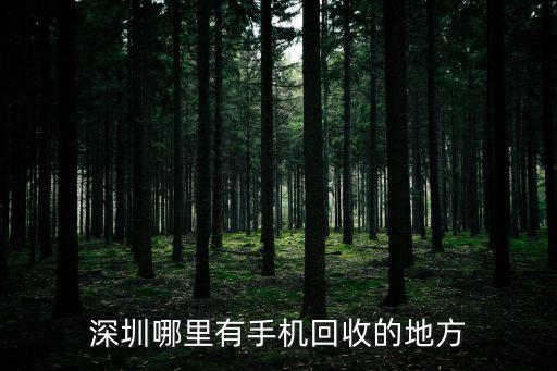 深圳哪里有手机回收的地方