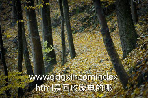 沧州二手家电回收电话，wwwqdgxincomindexhtml是回收家电的哪