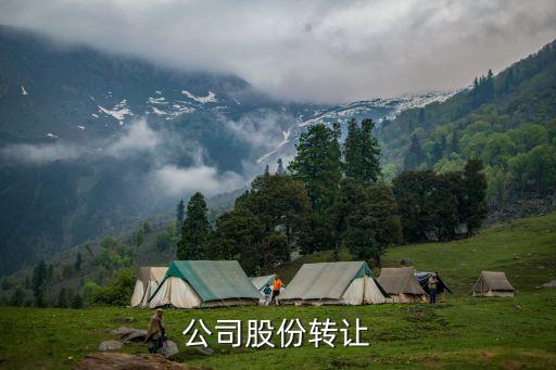 公司股份转让