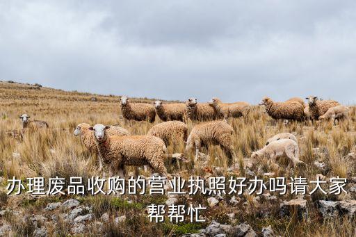 废品回收公司执照，办理废品收购的营业执照好办吗请大家帮帮忙