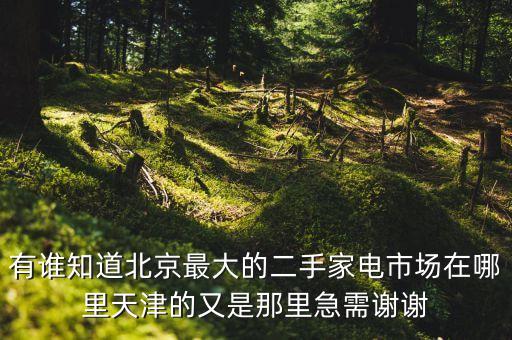 有谁知道北京最大的二手家电市场在哪里天津的又是那里急需谢谢