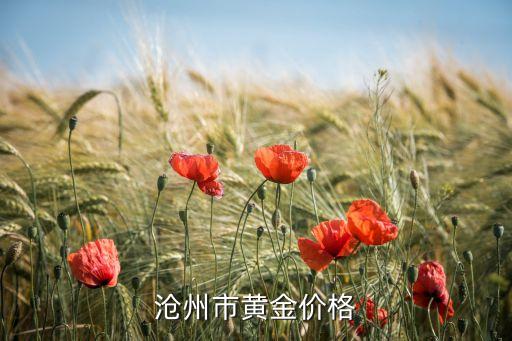 沧州市黄金价格