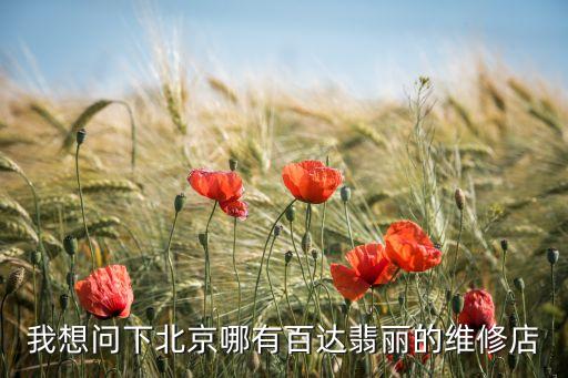 我想问下北京哪有百达翡丽的维修店