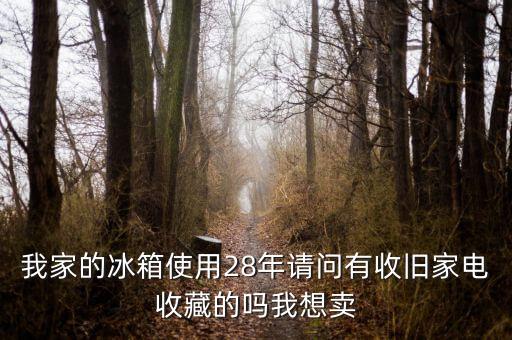 我家的冰箱使用28年请问有收旧家电收藏的吗我想卖