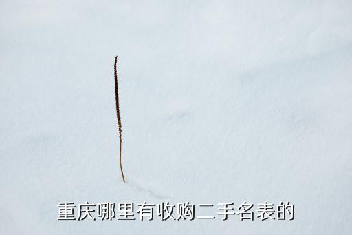 重庆哪里有收购二手名表的