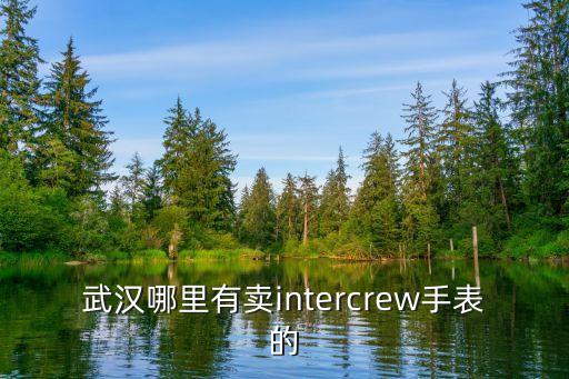 武汉哪里有卖intercrew手表的