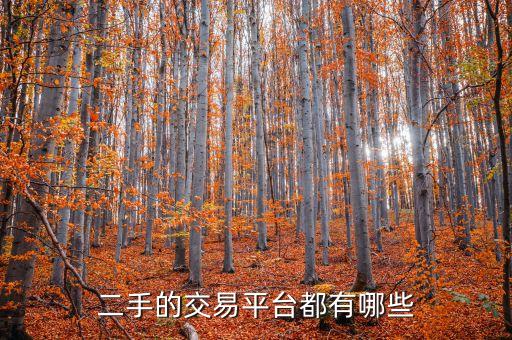 58同城二手旧货回收平台，二手的交易平台都有哪些