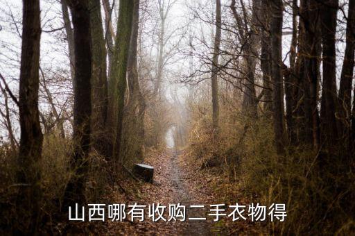 山西哪有收购二手衣物得