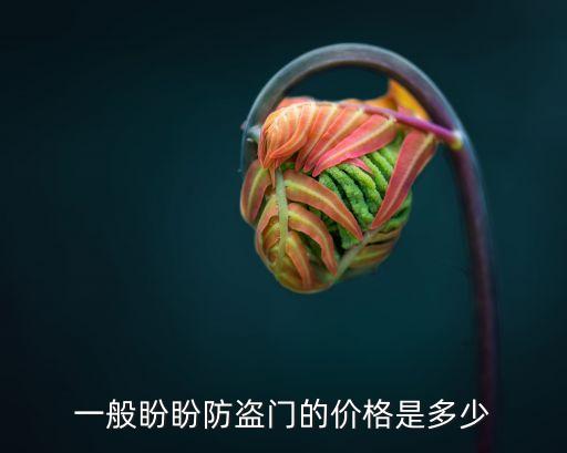 一般盼盼防盗门的价格是多少