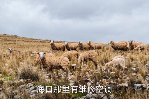 海口那里有维修空调