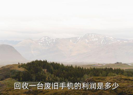 回收一台废旧手机的利润是多少