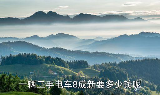 二手车电动车500元八成新，一辆二手电车8成新要多少钱呢