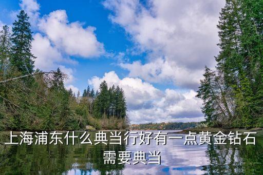 上海浦东什么典当行好有一点黄金钻石需要典当