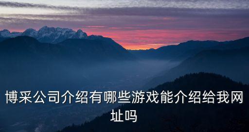 博采公司介绍有哪些游戏能介绍给我网址吗