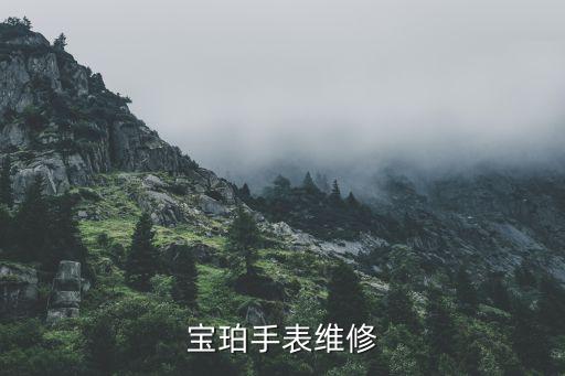 成都宝珀售后维修电话，ASUS在成都的维修点