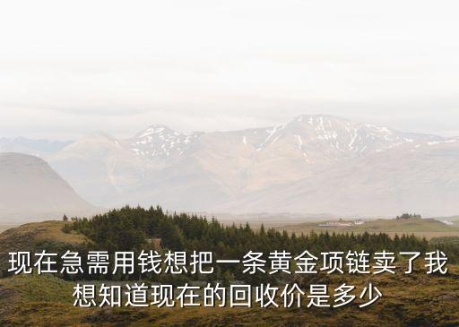 黄金项链回收价格，现在急需用钱想把一条黄金项链卖了我想知道现在的回收价是多少