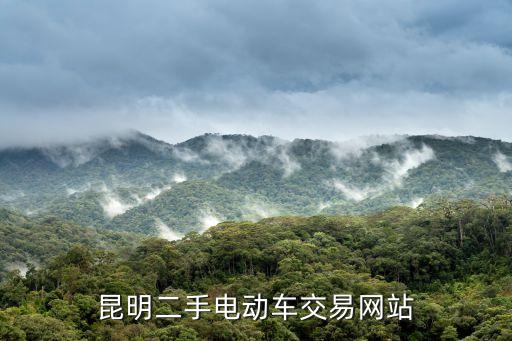 昆明二手电动车交易网站