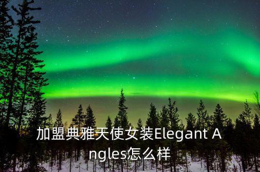 加盟典雅天使女装Elegant Angles怎么样