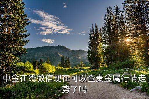 中国贵金属查询平台，聚投中国贵金属行业信息全面么