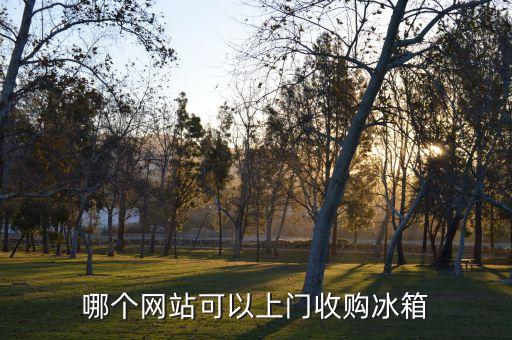 哪个网站可以上门收购冰箱