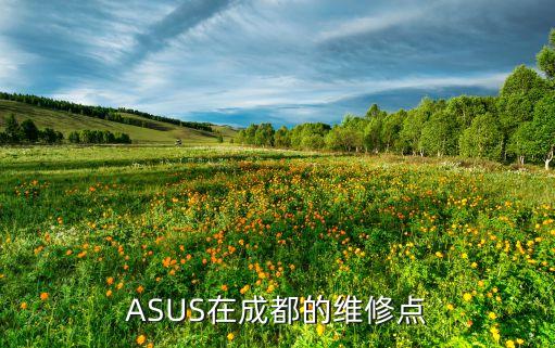 ASUS在成都的维修点