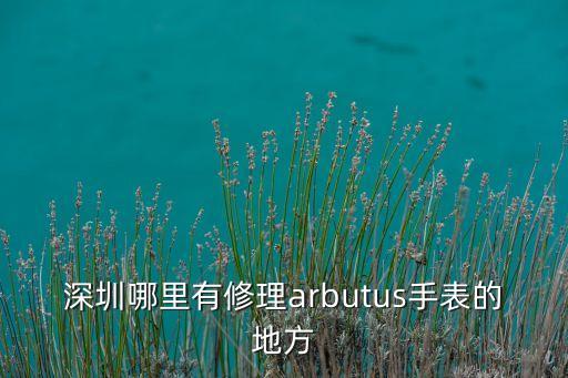 深圳哪里有修理arbutus手表的地方