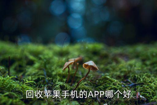 回收苹果手机的APP哪个好