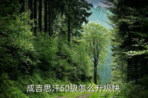 威海哪有回收酒的，威海经区烟酒回收