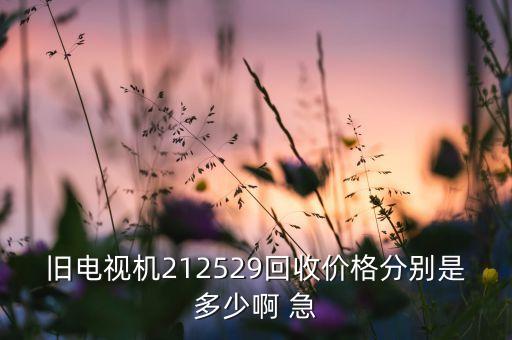 旧电视机212529回收价格分别是多少啊 急