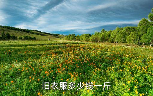 旧衣服多少钱一斤